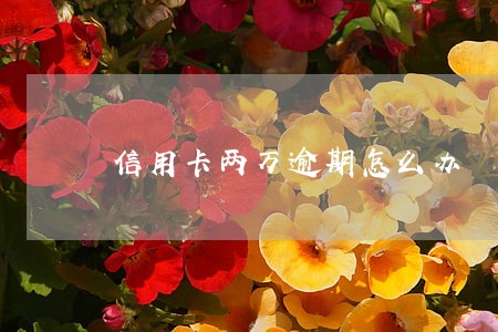 信用卡两万逾期怎么办 信用卡两万逾期怎么办