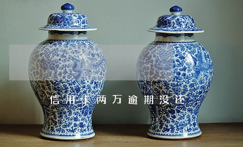 信用卡两万逾期没还 信用卡两万逾期没还