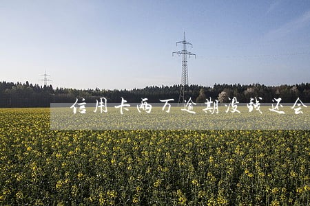 信用卡两万逾期没钱还会怎样 信用卡两万逾期没钱还会怎样
