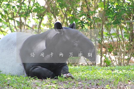 信用卡两万逾期还款怎么收利息 信用卡两万逾期还款怎么收利息