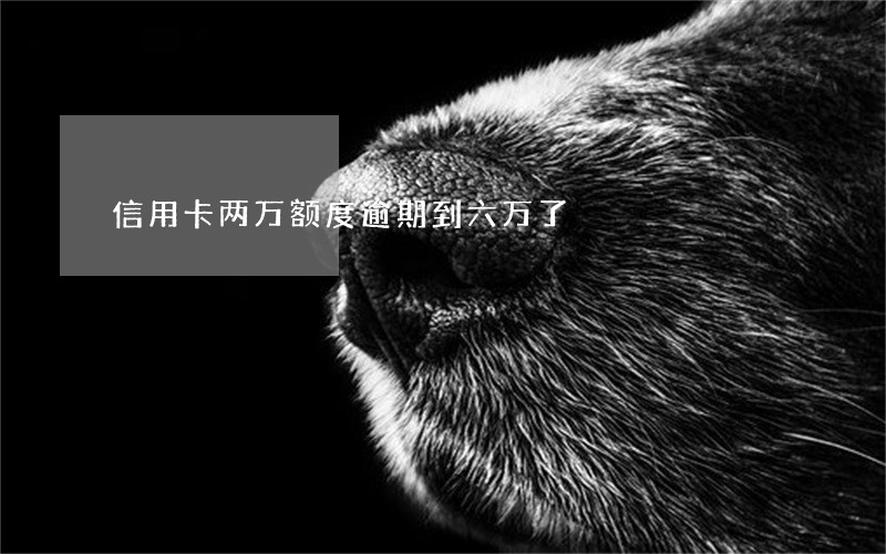 信用卡两万额度逾期到六万了 信用卡两万额度逾期到六万了