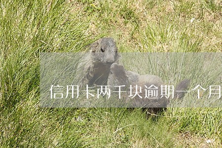 信用卡两千块逾期一个月 信用卡两千块逾期一个月