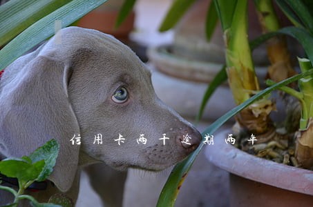 信用卡两千逾期两年 信用卡两千逾期两年