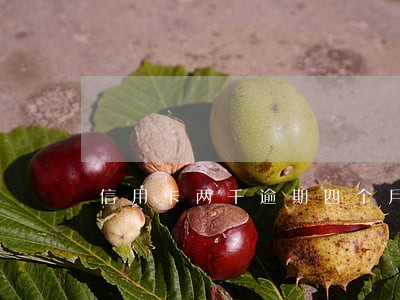 信用卡两千逾期四个月是多少 信用卡两千逾期四个月是多少