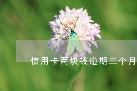 信用卡两块钱逾期三个月 信用卡两块钱逾期三个月