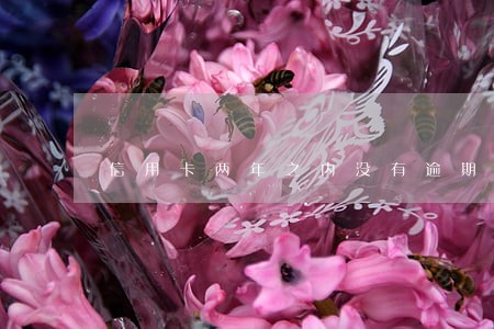 信用卡两年之内没有逾期 信用卡两年之内没有逾期