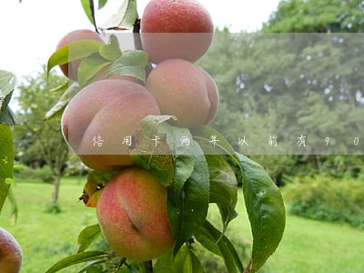信用卡两年以前有90天逾期 信用卡两年以前有90天逾期