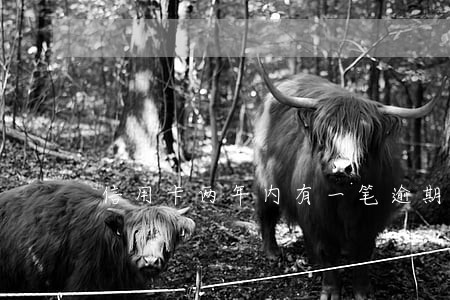 信用卡两年内有一笔逾期记录 信用卡两年内有一笔逾期记录