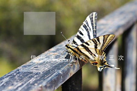 信用卡两年内逾期三次 信用卡两年内逾期三次