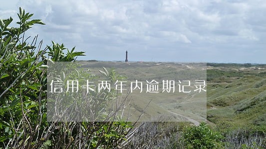 信用卡两年内逾期记录 信用卡两年内逾期记录
