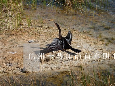 信用卡两年前有逾期4次 信用卡两年前有逾期4次