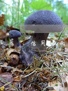 信用卡两年前有逾期记录 信用卡两年前有逾期记录