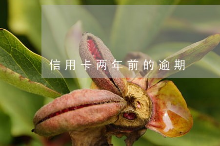信用卡两年前的逾期