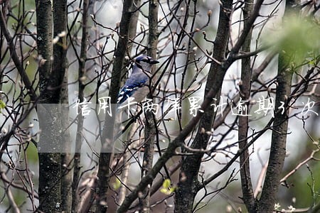 信用卡两年累计逾期3次 信用卡两年累计逾期3次