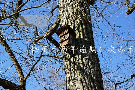 信用卡两年逾期6次办卡 信用卡两年逾期6次办卡