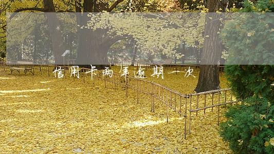 信用卡两年逾期一次