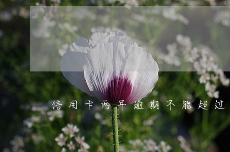 信用卡两年逾期不能超过多少次 信用卡两年逾期不能超过多少次