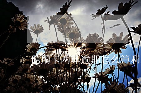 信用卡两年逾期怎么算利息 信用卡两年逾期怎么算利息