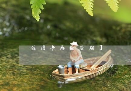 信用卡两张逾期了 信用卡两张逾期了