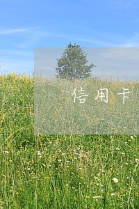 信用卡两次逾期但没超过90天 信用卡两次逾期但没超过90天