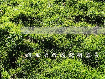 信用卡两次逾期后果 信用卡两次逾期后果