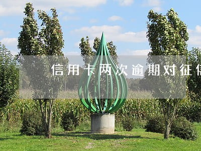 信用卡两次逾期对征信有影响吗