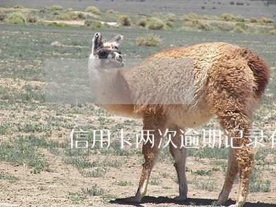 信用卡两次逾期记录有什么影响 信用卡两次逾期记录有什么影响