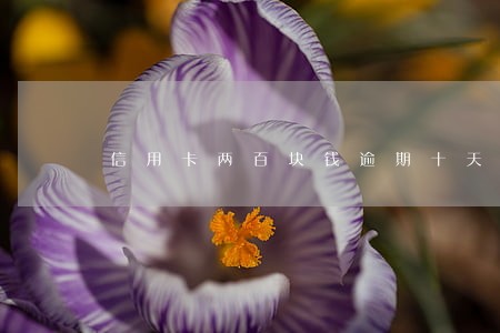信用卡两百块钱逾期十天 信用卡两百块钱逾期十天