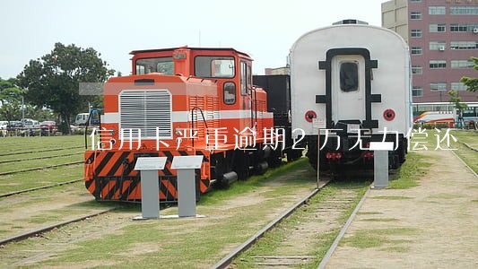 信用卡严重逾期2万无力偿还 信用卡严重逾期2万无力偿还