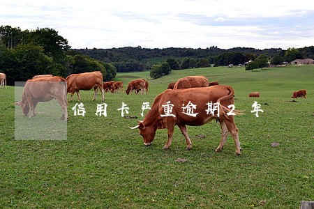 信用卡严重逾期2年