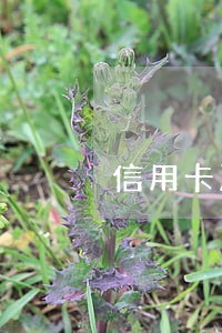 信用卡严重逾期3年后怎么还 信用卡严重逾期3年后怎么还