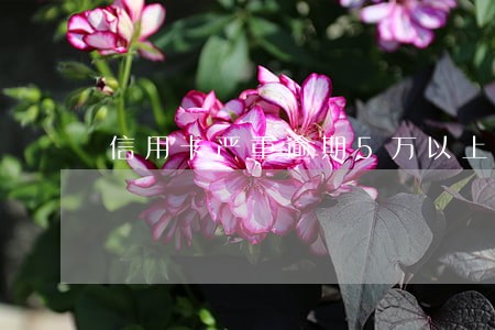 信用卡严重逾期5万以上 信用卡严重逾期5万以上