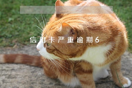 信用卡严重逾期6 信用卡严重逾期6