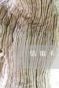 信用卡严重逾期上了征信怎么办 信用卡严重逾期上了征信怎么办