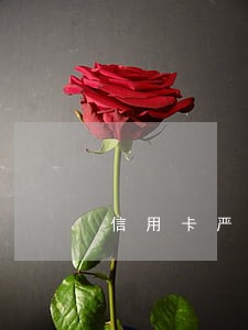 信用卡严重逾期不还会怎么样 信用卡严重逾期不还会怎么样