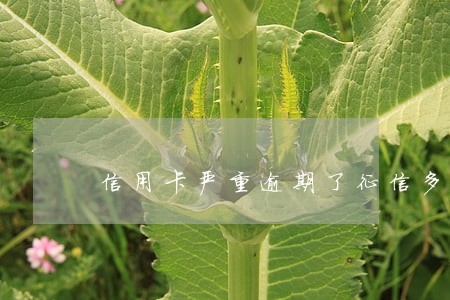 信用卡严重逾期了征信多久恢复 信用卡严重逾期了征信多久恢复