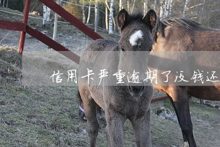 信用卡严重逾期了没钱还 信用卡严重逾期了没钱还