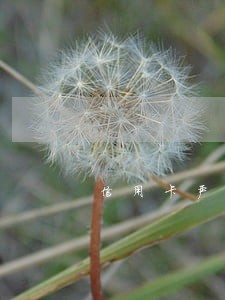 信用卡严重逾期会上门催收吗光大 信用卡严重逾期会上门催收吗光大