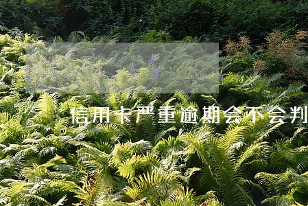 信用卡严重逾期会不会判刑 信用卡严重逾期会不会判刑