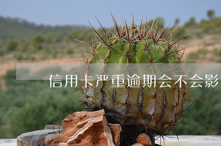 信用卡严重逾期会不会影响公司 信用卡严重逾期会不会影响公司