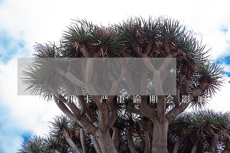 信用卡严重逾期会影响子女上学吗 信用卡严重逾期会影响子女上学吗