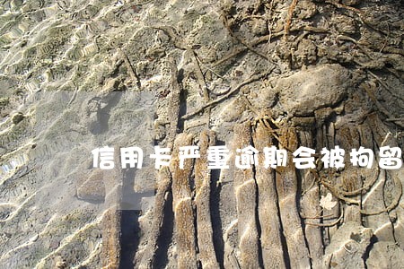 信用卡严重逾期会被拘留吗 信用卡严重逾期会被拘留吗