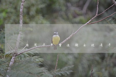 信用卡严重逾期会被消卡吗 信用卡严重逾期会被消卡吗