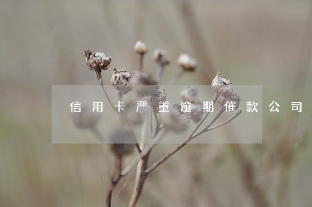 信用卡严重逾期催款公司上门 信用卡严重逾期催款公司上门