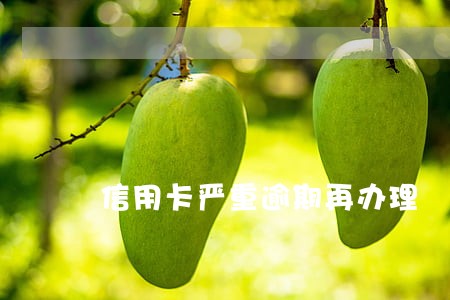 信用卡严重逾期再办理 信用卡严重逾期再办理