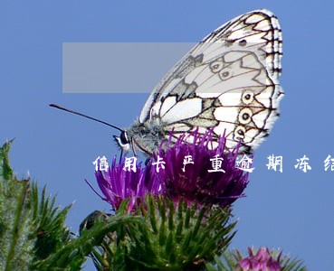 信用卡严重逾期冻结了还能解封嘛 信用卡严重逾期冻结了还能解封嘛