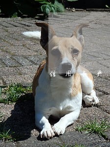 信用卡严重逾期冻结还能分期吗 信用卡严重逾期冻结还能分期吗