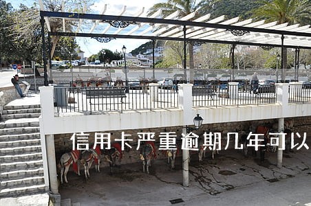 信用卡严重逾期几年可以恢复 信用卡严重逾期几年可以恢复