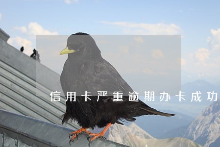 信用卡严重逾期办卡成功率 信用卡严重逾期办卡成功率