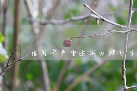 信用卡严重逾期办理暂住证